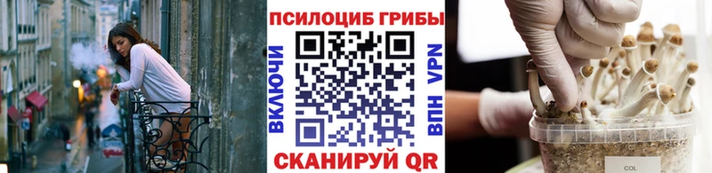 дарнет шоп  Щёкино  Галлюциногенные грибы мицелий 